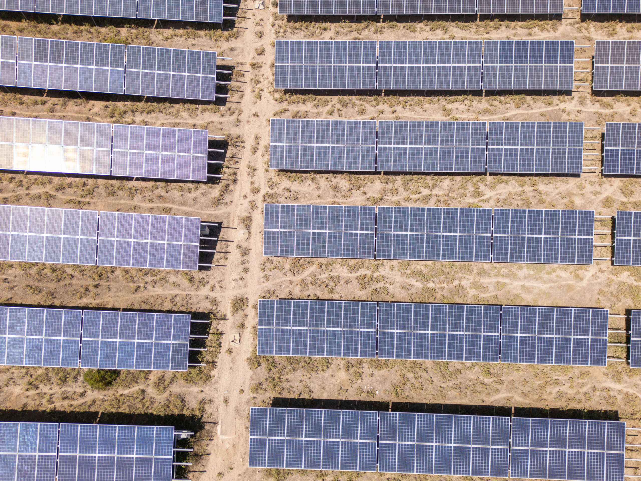 large-scale ground-mounted solar dead grass, environmental harm