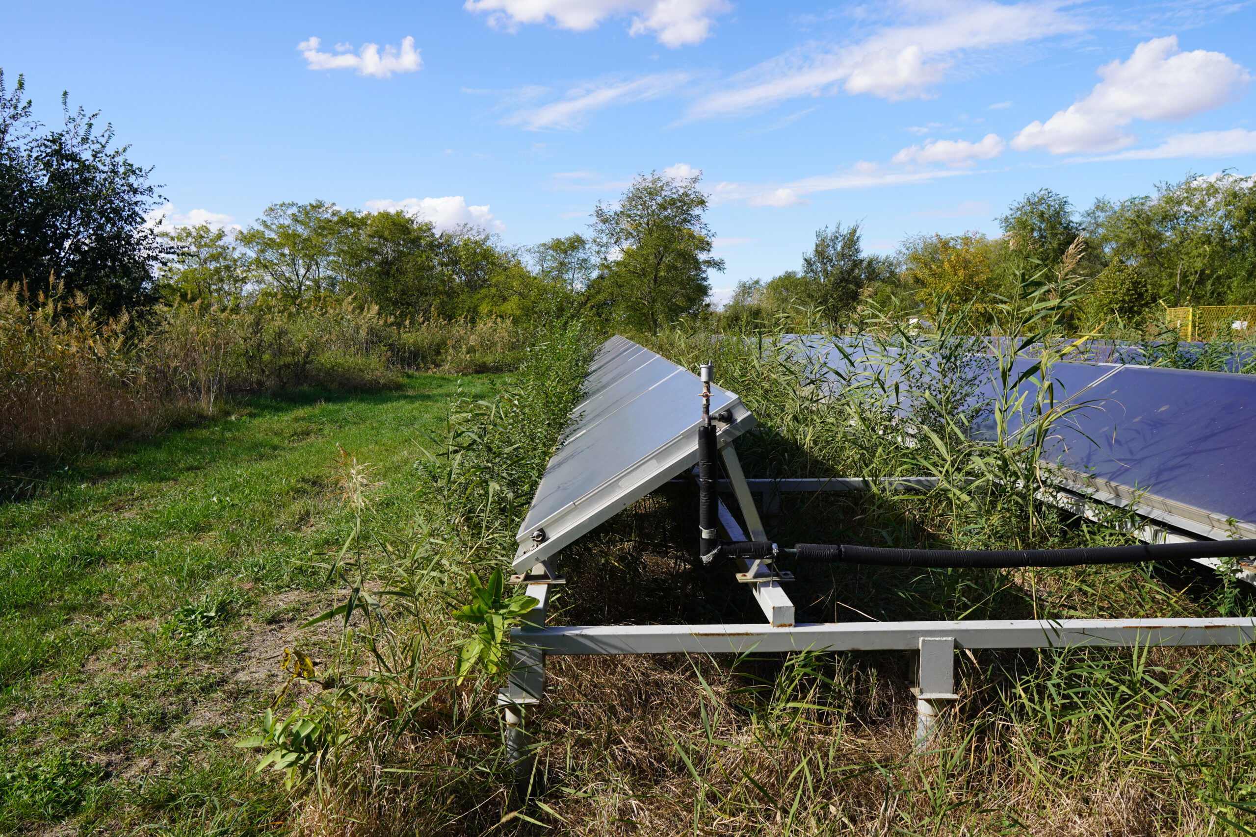 overgrown, unkempt, large-scale ground-mounted solar