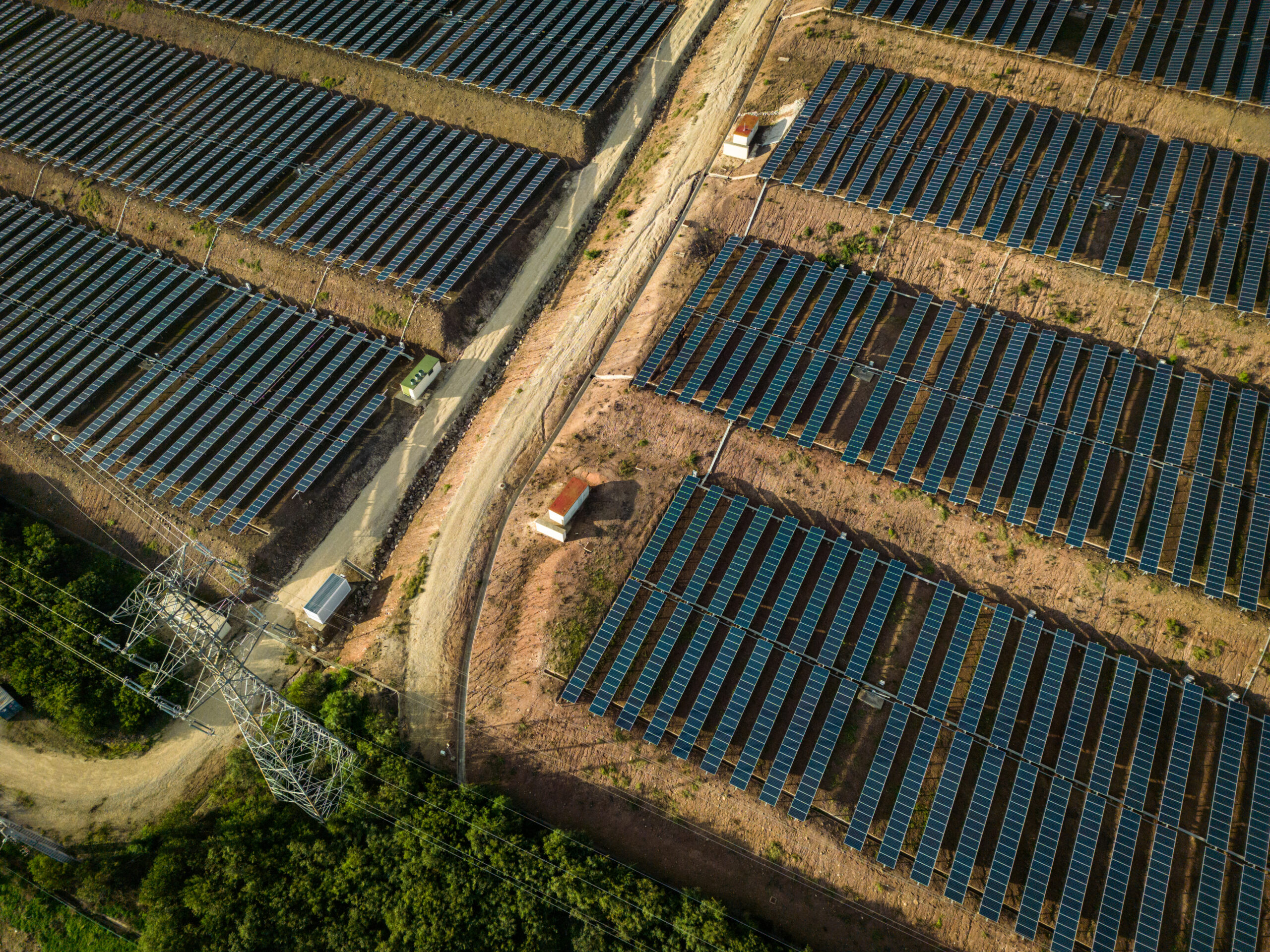 large-scale ground-mounted solar construction deforestation