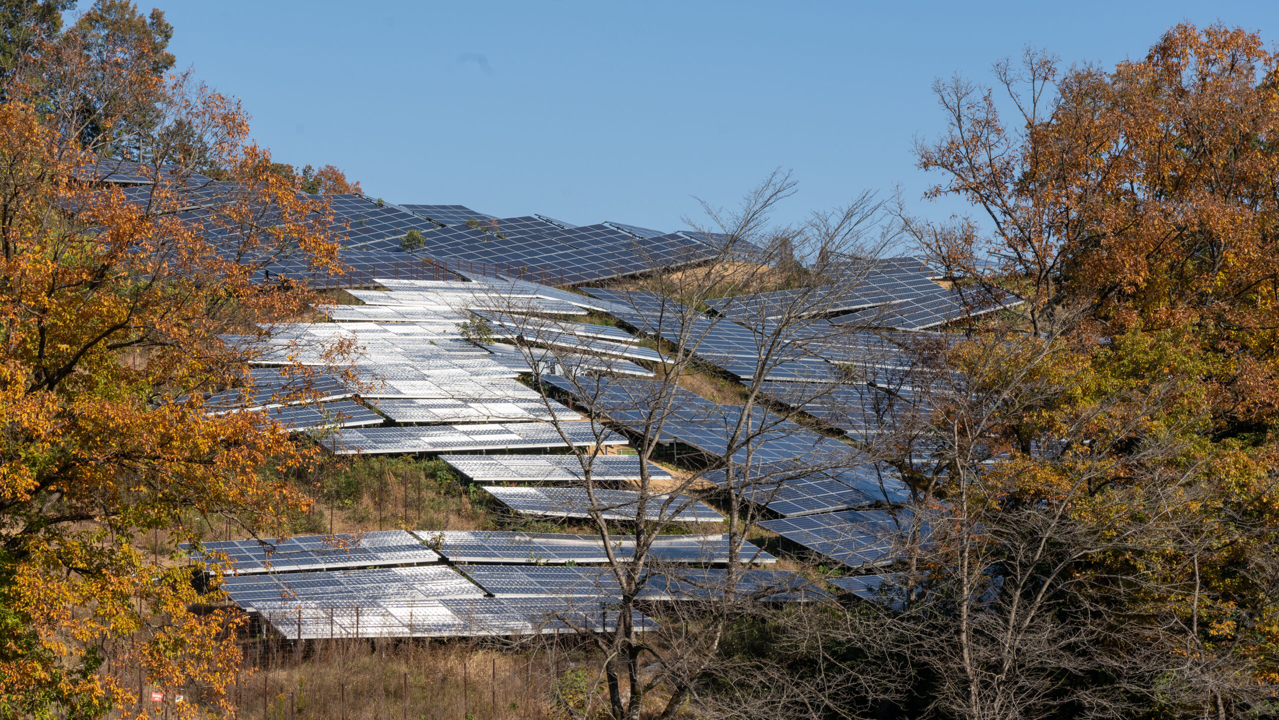 large-scale ground-mounted solar